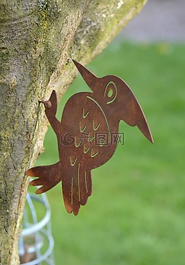 picvert,樹(shù),鳥(niǎo)