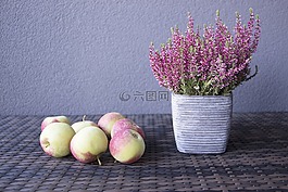 蘋果,秋,鮮花
