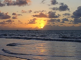 海滩,景观,巴西
