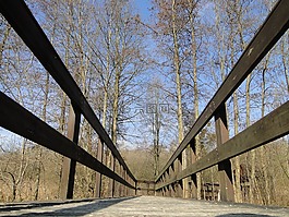 森林,allee,性质
