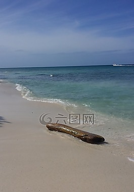 海,木,水
