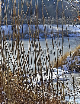冬天,雪,湖