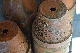 花盆,培養(yǎng),鮮花