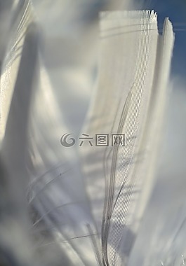 春天,宏,緩解