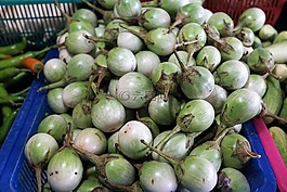 食品,水果,成長