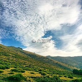 裝載,綠色,生活