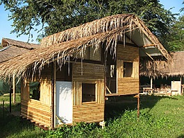 小屋,竹,首頁