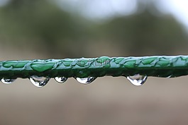 滴水滴,雨,水分