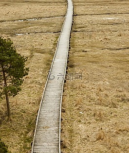 木橋,沼澤,草地
