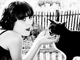 女人,catandwoman,貓