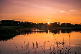 河,日落,景觀