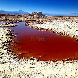 阿塔卡马,撒拉族,沙漠