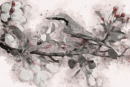 彈簧鳥,鳥,春