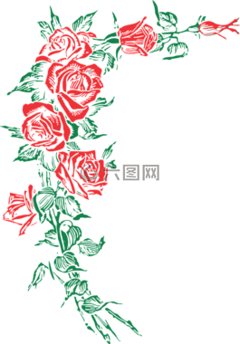 玫瑰,花的,花
