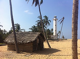 热带,景观,小屋