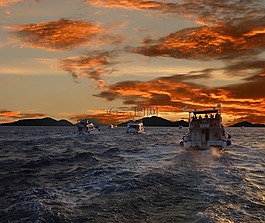 船,帆船,海