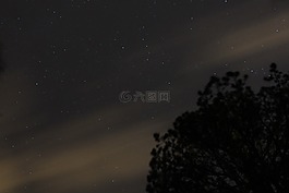 明星,天空,夏季