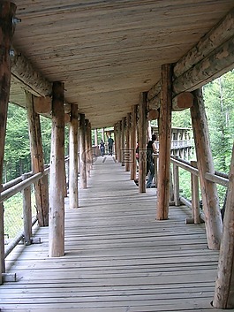覆蓋橋,木,性質(zhì)