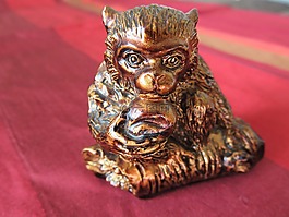 猴子,一年,2016