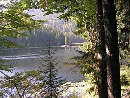 arbersee,性质,bergsee
