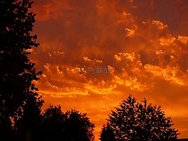 日落,紅色,云