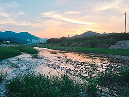 山,里弗斯,克里克