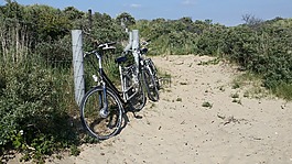 自行車,輪,沙