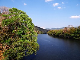 gangavali 河,綠化,西高止山脈