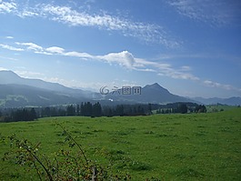綠化,ellegghoehe,高山草甸