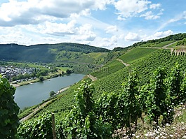 mosel,停车场和自行车车库,葡萄园