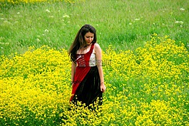 女孩,鮮花,黃色