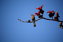 天空,戶外,自然