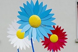 花,窗體,margarithe