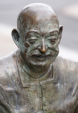 男子,頭,查看