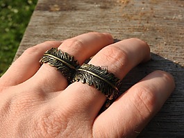 環(huán),羽毛,手