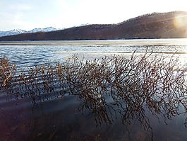 春天,湖,冰