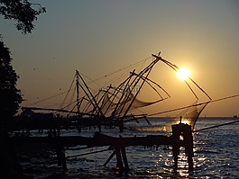 印度,海,魚