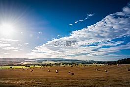 景觀,太陽,字段