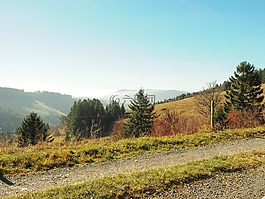 黑森林,德國,景觀