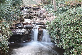 河,自然,花園