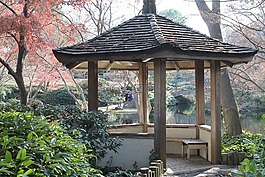 東部,自然,花園
