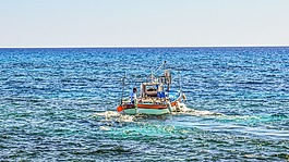 釣魚,漁船,船