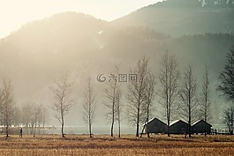 巴伐利亞,早上好,湖