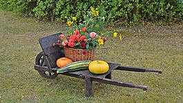感恩节,装饰,丰年祭