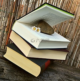 圖書,讀取,文學