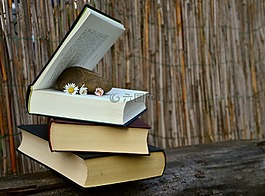 圖書,讀取,研究