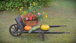 感恩节,装饰,丰年祭