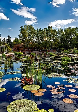 丹佛,科羅拉多州,植物園