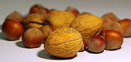 核桃,意大利語,甘蔗