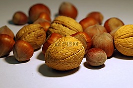 核桃,意大利語(yǔ),甘蔗